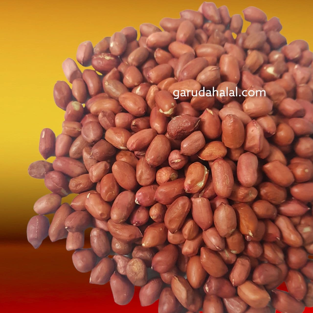 Kacang Tanah
